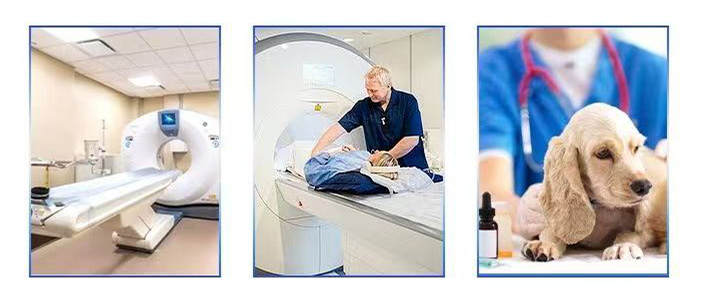 ประตูตะกั่วเปิดคู่ ประตูตะกั่วเปิดคู่