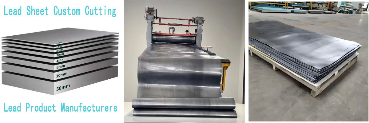 엑스레이 리드 롤 엑스레이 리드 롤