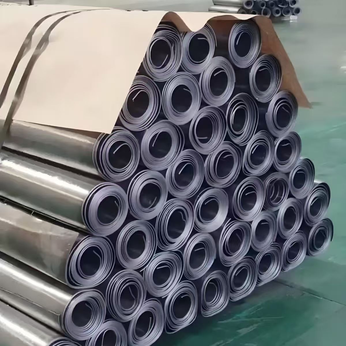 엑스레이 리드 롤