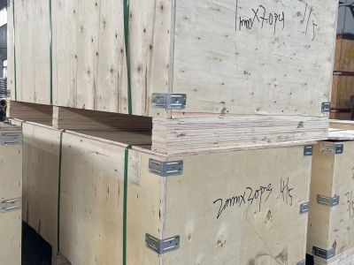 L’ingéniosité engendre la qualité, le service étend la portée mondiale — Les fiches de prospection à l’exportation de Shandong Qite sont reconnues par les clients étrangers