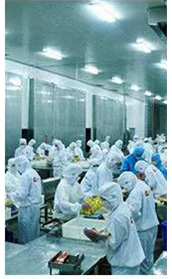 Porte électrique coulissante étanche